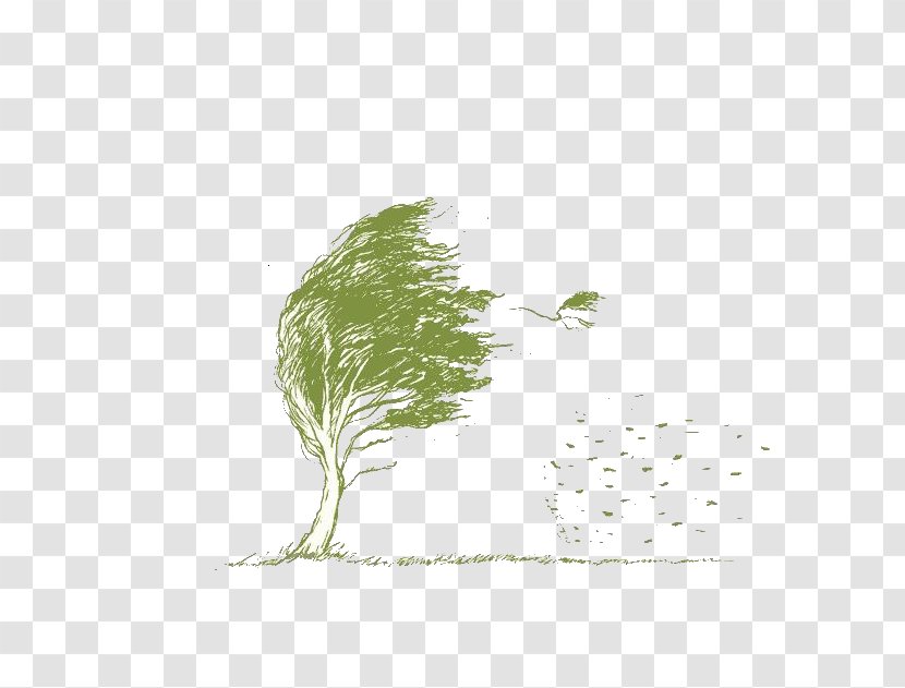 Leaf Branch Wind Tree Transparent PNG