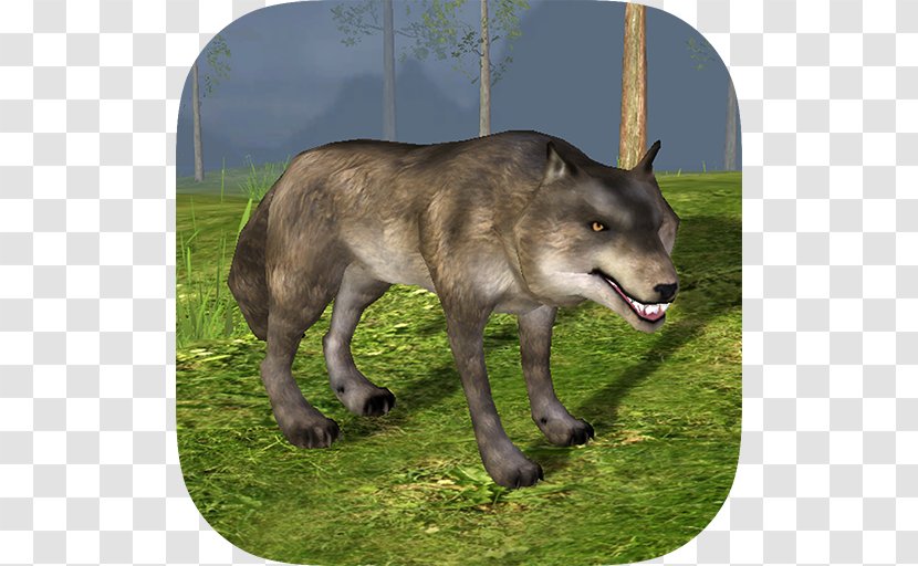 Gray Wolf Cube City: Dog Simulator 3D Princess Royal Pet School Wild City Revenge SIM Ear Surgery - Simulation - Android Transparent PNG