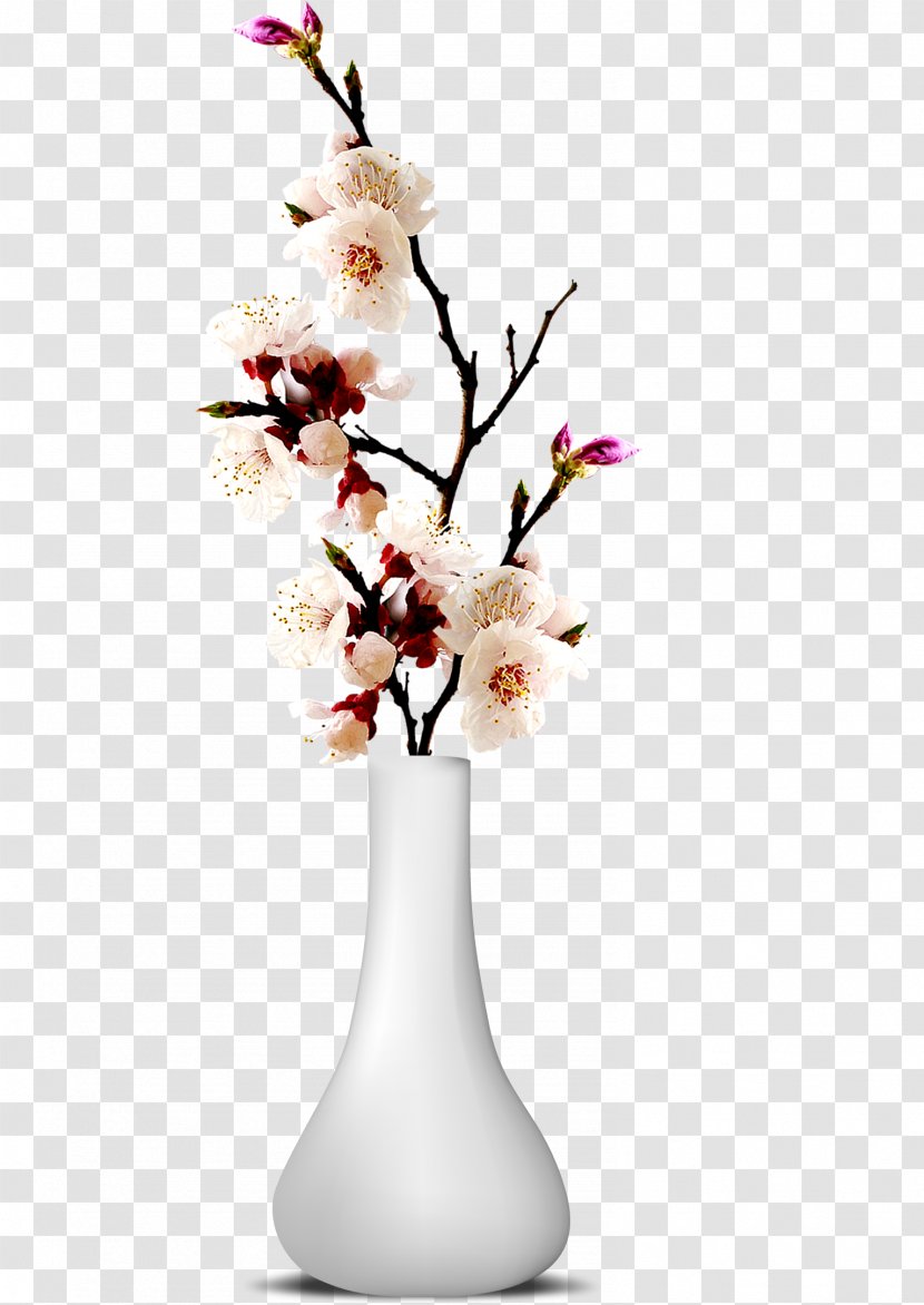 ForgetMeNot Flower Vase Blossom Transparent PNG