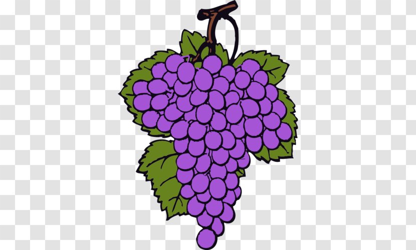 Common Grape Vine Wine Clip Art - Flower Transparent PNG