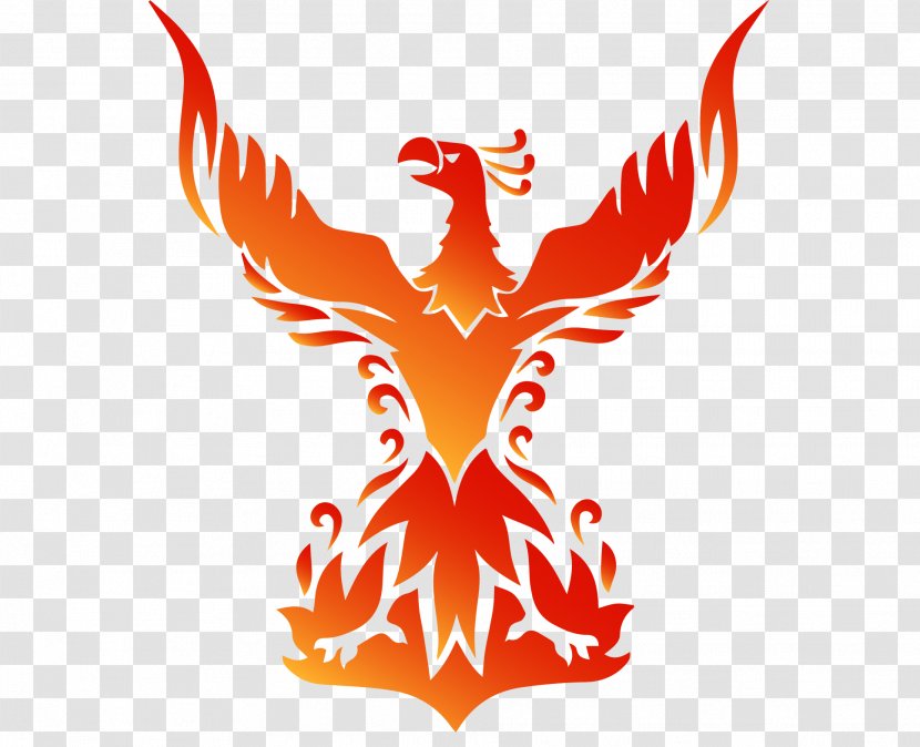 Phoenix Stock Photography - Beak - PE Class Transparent PNG