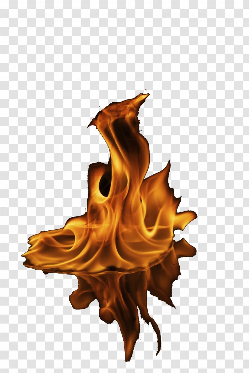 Flame Problems In Thermodynamics And Statistical Physics - Leaf Transparent PNG