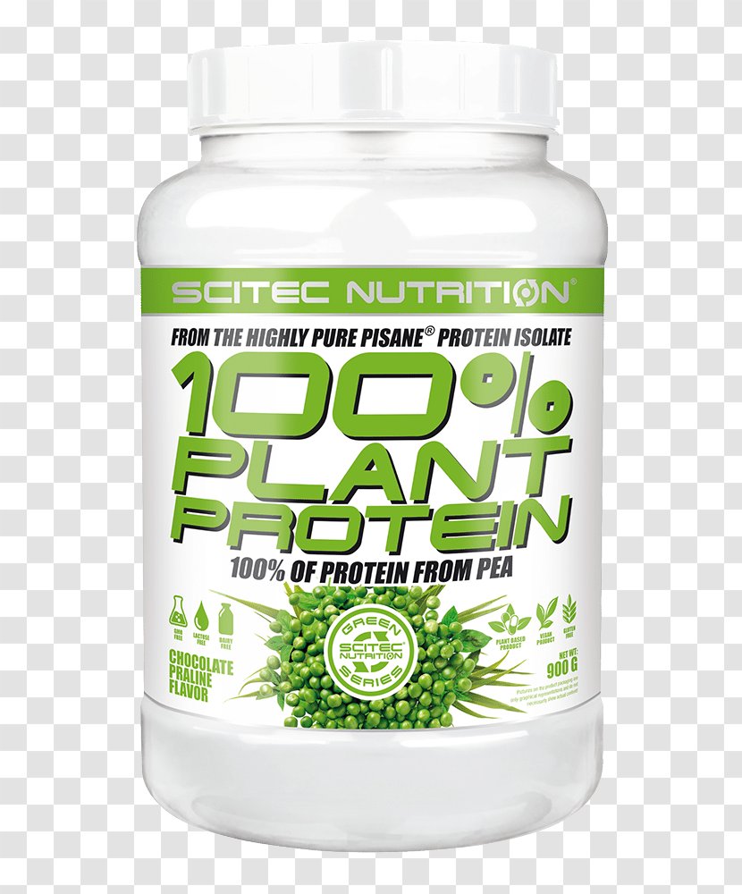 Praline Whey Protein Isolate Pea Nutrition - Veganism - Chocolate Transparent PNG