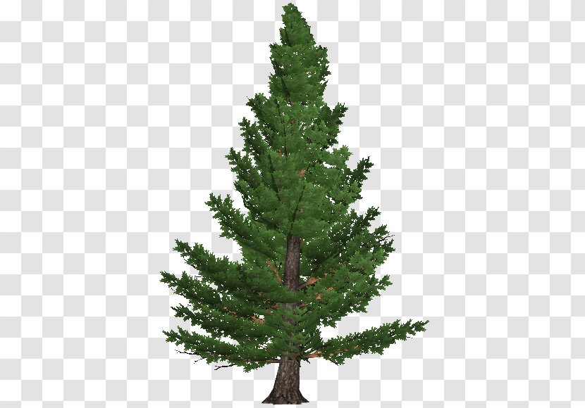 Artificial Christmas Tree Pre-lit - Temperate Coniferous Forest - Pine Transparent PNG