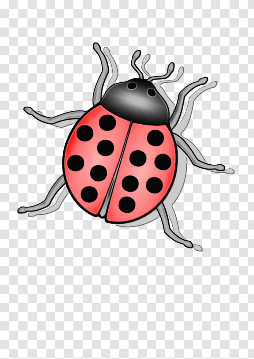Ladybug - Wet Ink - Cartoon Transparent PNG
