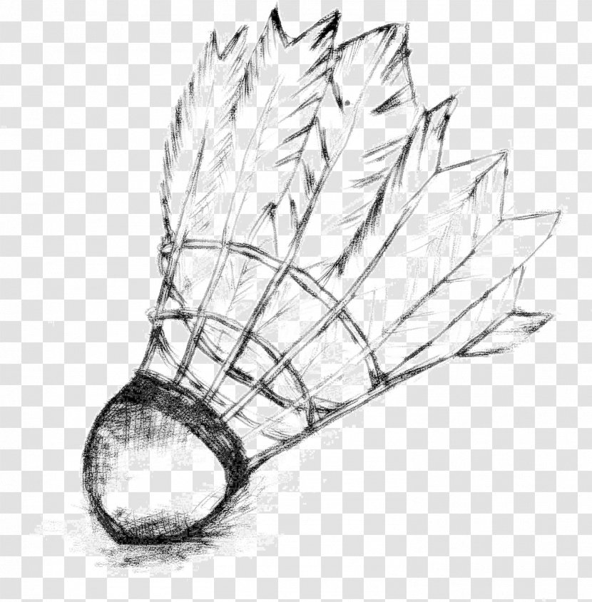 Badminton Background - Shuttlecock - Racquet Sport Plant Transparent PNG