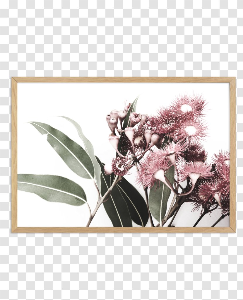 Gum Trees Art Floral Design Poster - Pollinator Transparent PNG