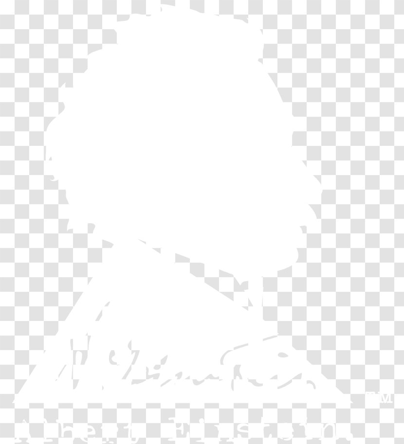 Email United States Hotel Canada Food - Service - Albert Einstein Transparent PNG