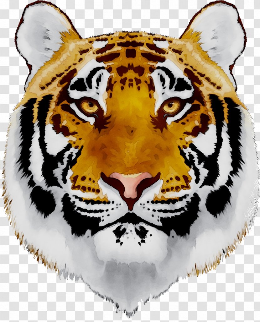 Cat Lion Vector Graphics Image Bengal Tiger - Felidae - Terrestrial Animal Transparent PNG