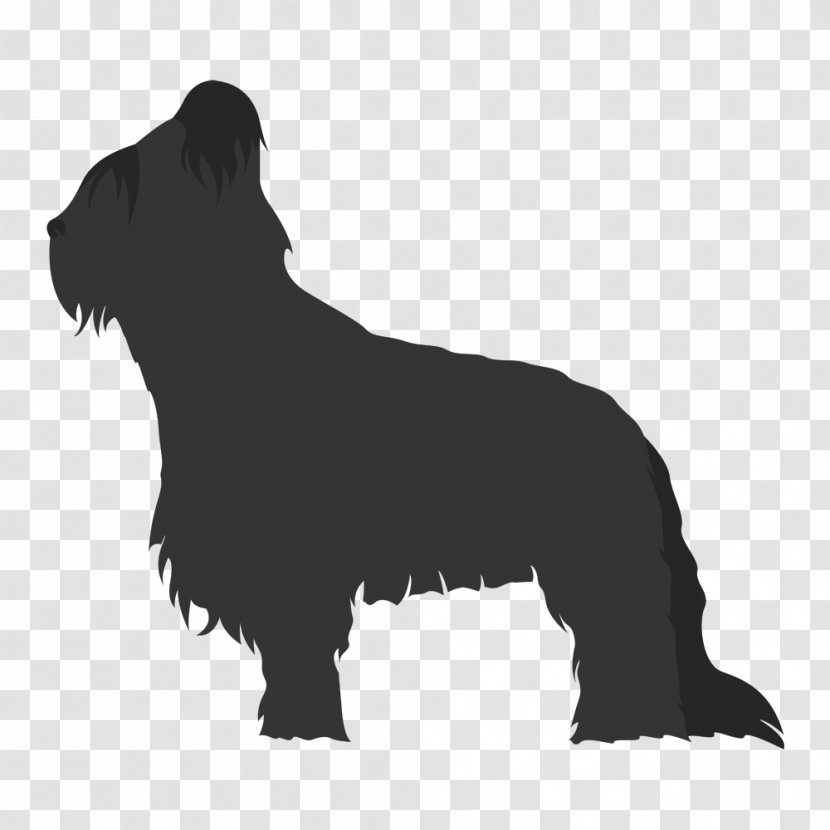 Scottish Terrier Non-sporting Group Briard Dog Breed (dog) - Snout - Airedale Transparent PNG