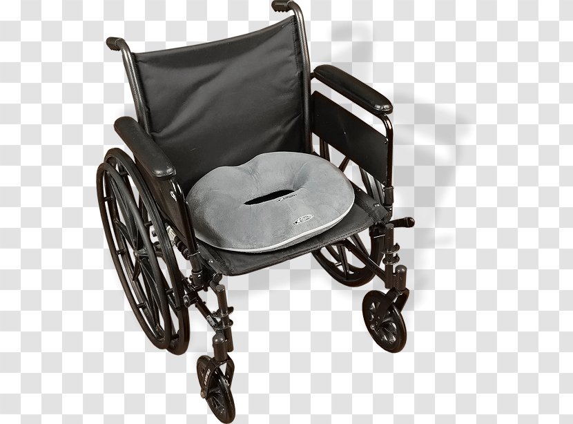 Coccyx Cushion Chair Seat Coccydynia - Pillow Transparent PNG