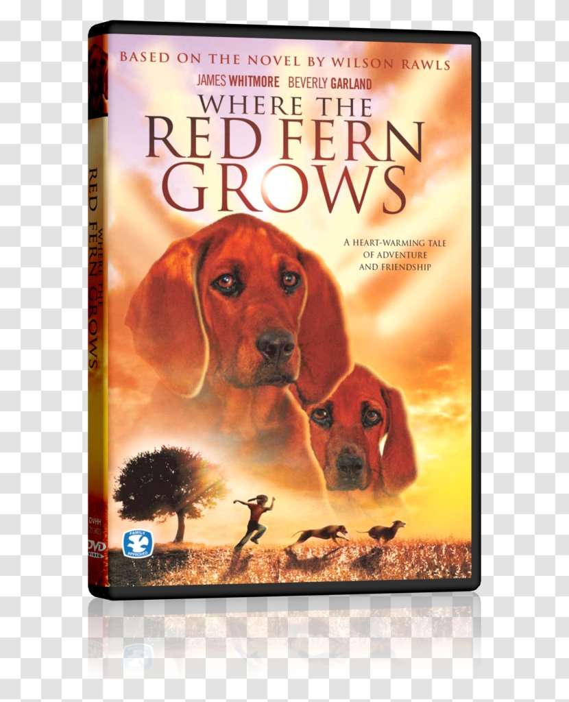 Where The Red Fern Grows Book Novel Children's Literature - Film Transparent PNG