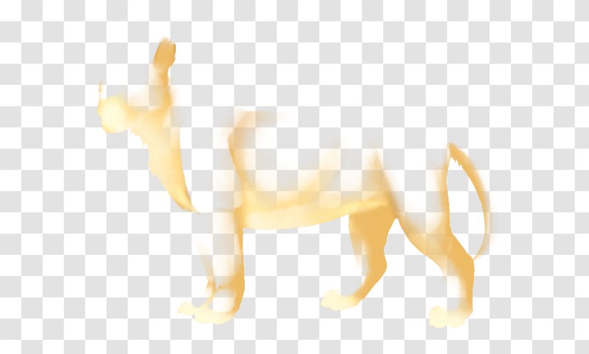 Lion Cat Dog Mammal Canidae - Tail Transparent PNG