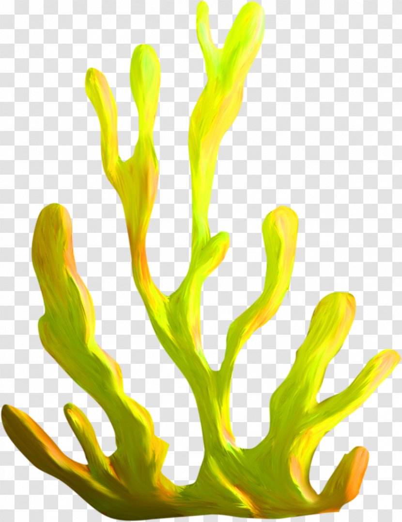 Algae Coral Plant Clip Art - Reef Transparent PNG