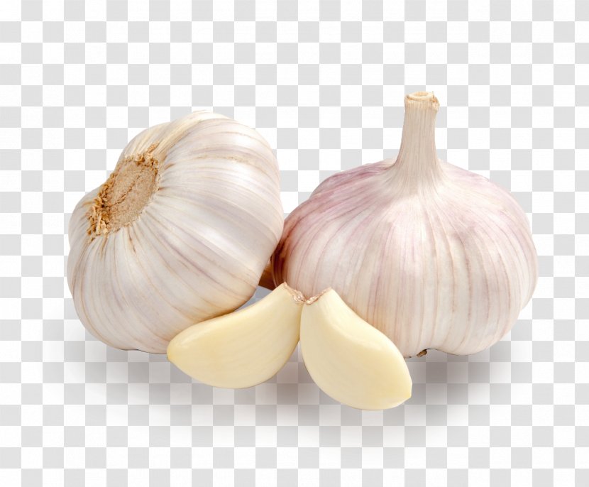 Bawang Solo Garlic Indonesian Cuisine Food Shallot - Onion Genus - Health Transparent PNG