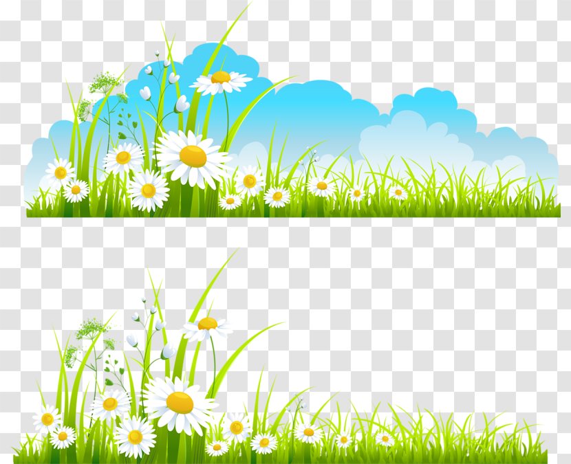 Spring Free Content Clip Art - Grass - Chrysanthemum Pattern Transparent PNG