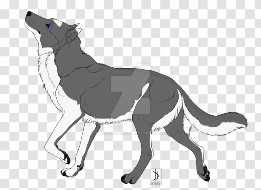 Dog Horse Cat Macropods Line Art Transparent PNG