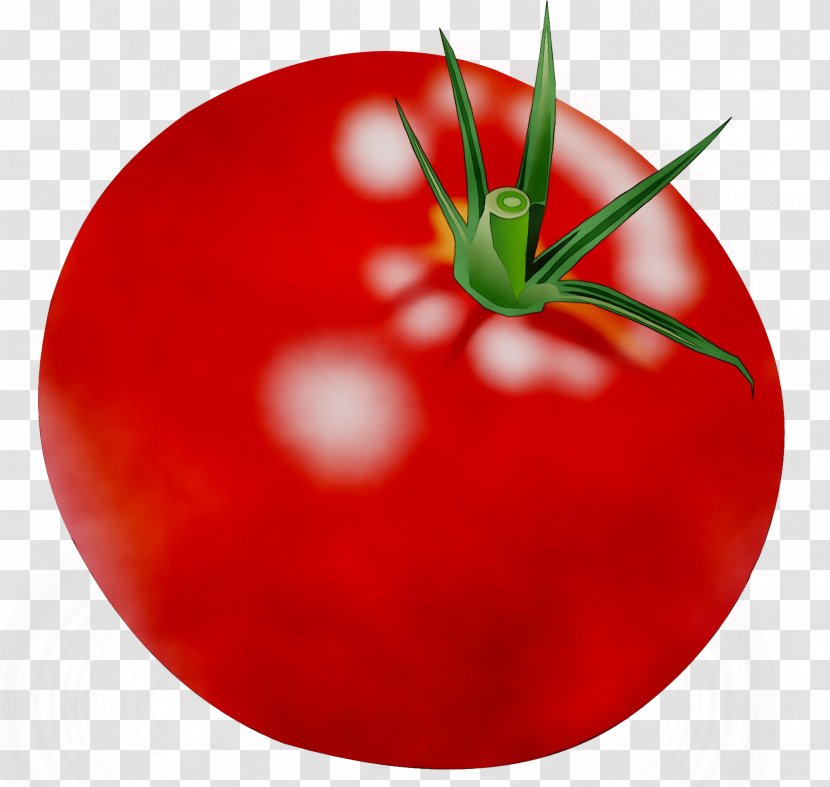 Plum Tomato Bush Food YouTube - Diet - Cherry Tomatoes Transparent PNG