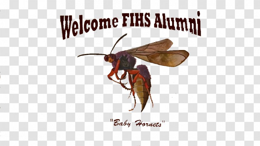 Alumni Association Alumnus Fairfield Industrial High School Wasp Mail - Fly - Stevenson Transparent PNG