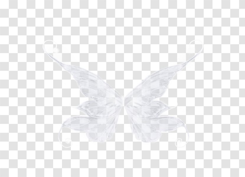 White Moth - Wings Transparent PNG