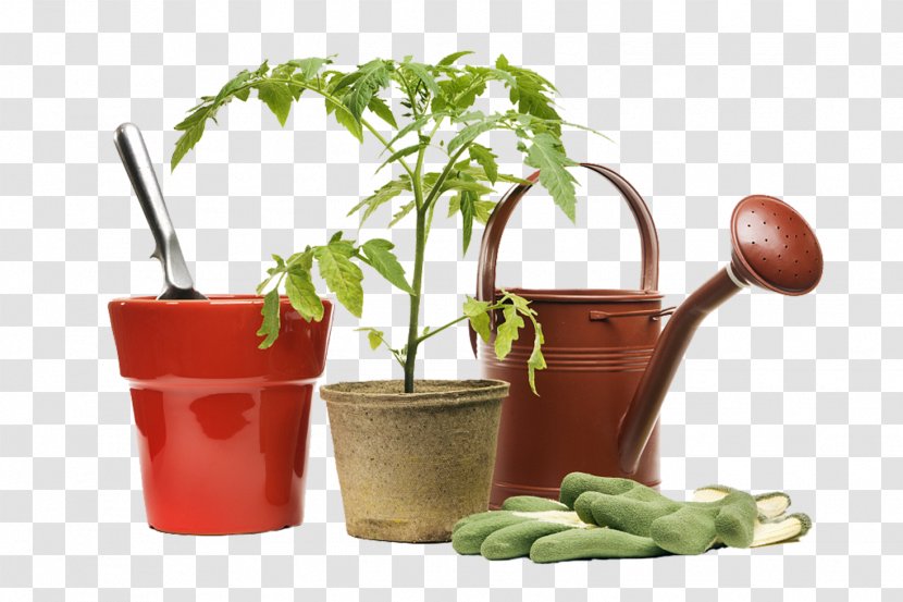 Gardening Tools And Small Potted Plants - Container Garden - Local Food Transparent PNG