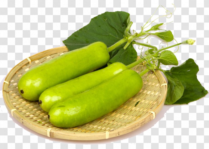 Calabash U74e0u5b50 Eating Cucurbitaceae Bitterness - Poison - Vegetables Transparent PNG