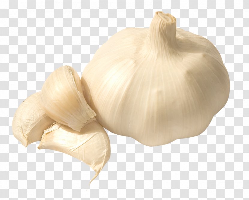 Garlic Food - Photography Transparent PNG