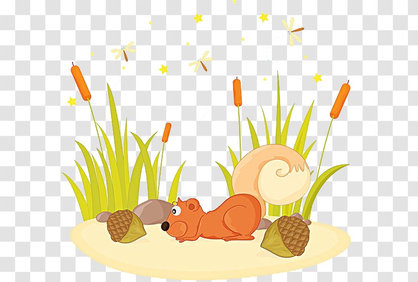 Squirrel Clip Art - Commodity - Looking Transparent PNG