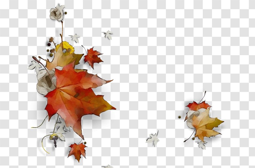 Autumn Leaf Drawing - Painting - Flower Maple Transparent PNG