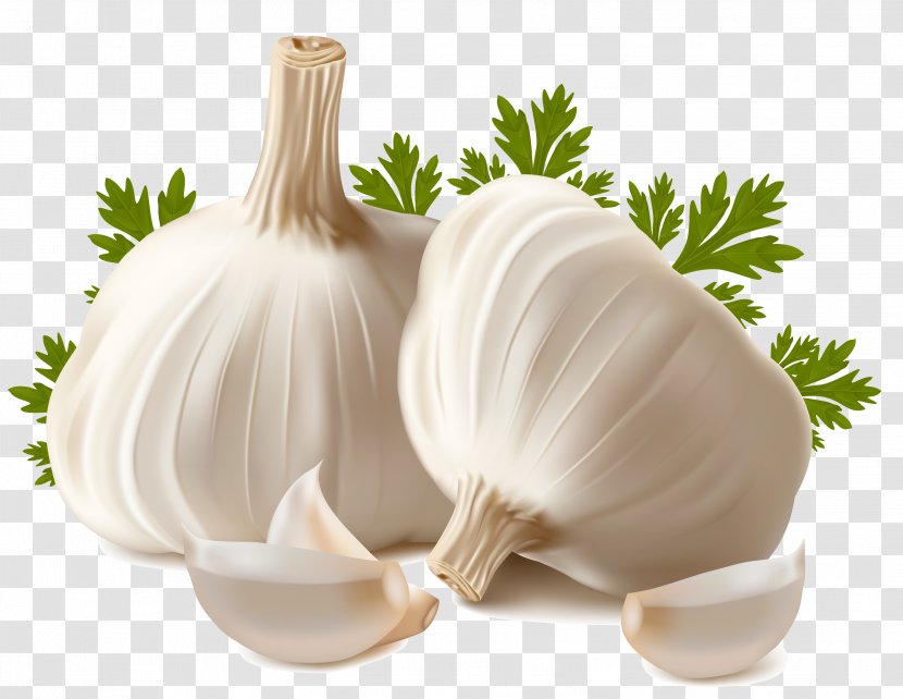 Garlic Bread Vegetable Clip Art - Oil Transparent PNG