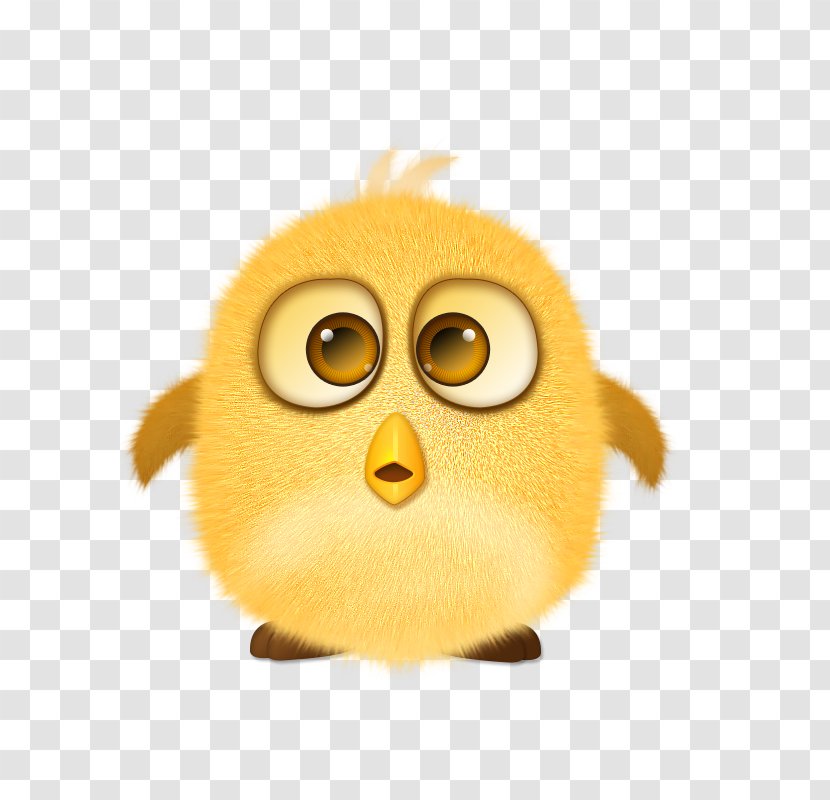 Chicken Cartoon Google Images Computer File - Nose - Cute Chick Clip Free Transparent PNG