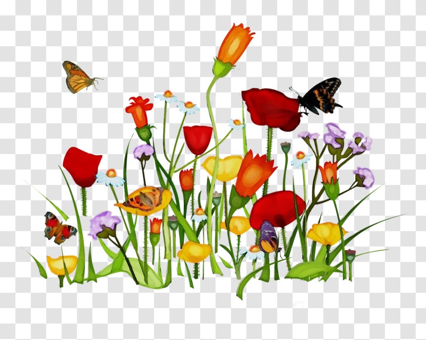Flower Plant Wildflower Clip Art Flowering - Butterfly Tulip Transparent PNG