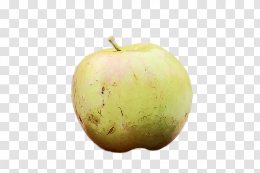 Apple Fruit Apple Transparent PNG