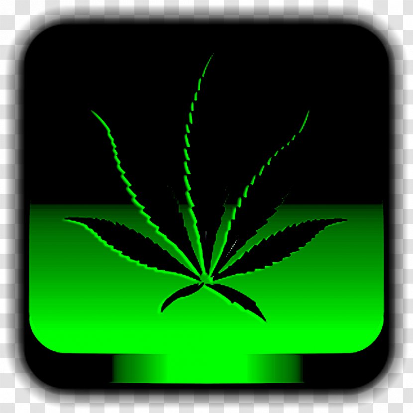 Cannabis Logo Smoking Bong - Medical - Medicinal Plants Transparent PNG