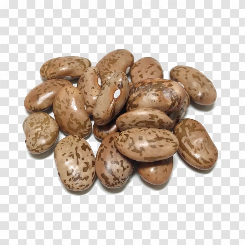 Nut Commodity - Ingredient - Soybean Transparent PNG