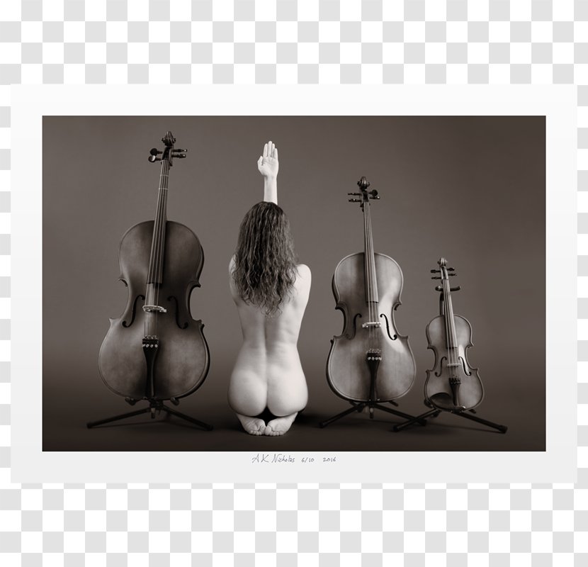 Cello Violin Still Life - Family Transparent PNG