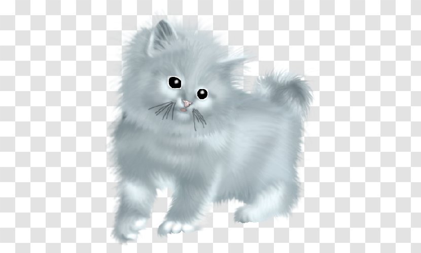 Kitten Persian Cat British Semi-longhair Asian Napoleon - Mammal Transparent PNG