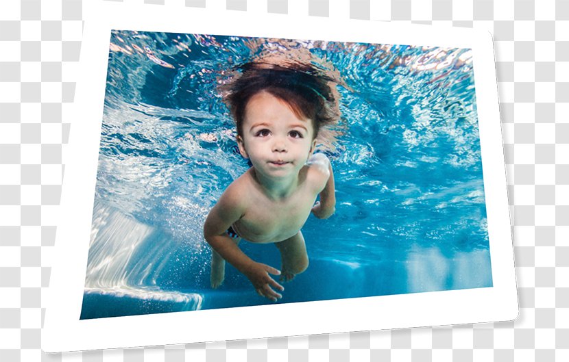 Swimming Lessons Leisure Pool Child - Tree - Underwater River Transparent PNG