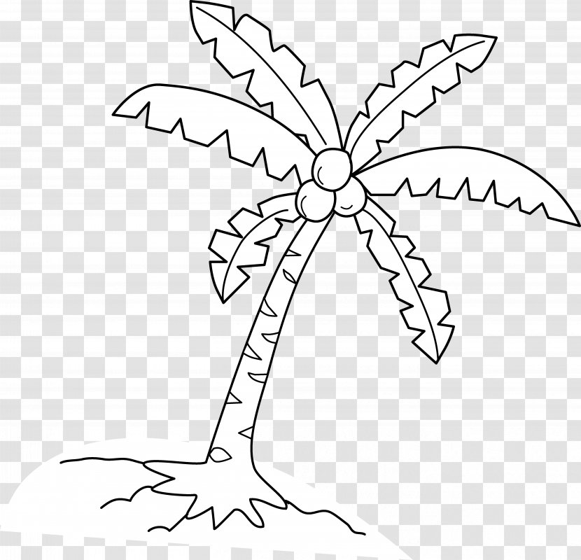 Coconut Arecaceae Clip Art - Tree - Line Transparent PNG