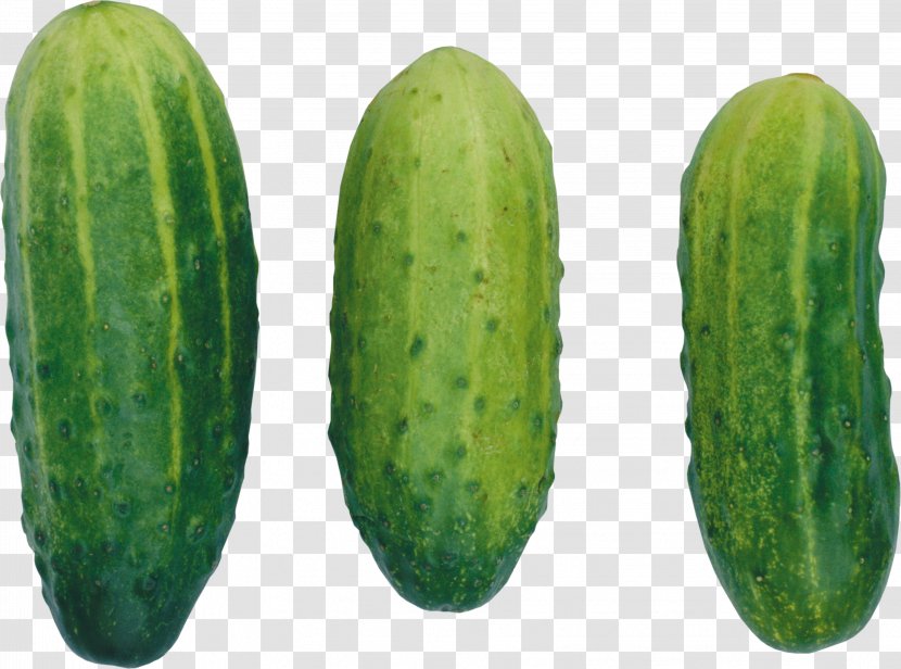 Cucumber Icon - Image File Formats Transparent PNG