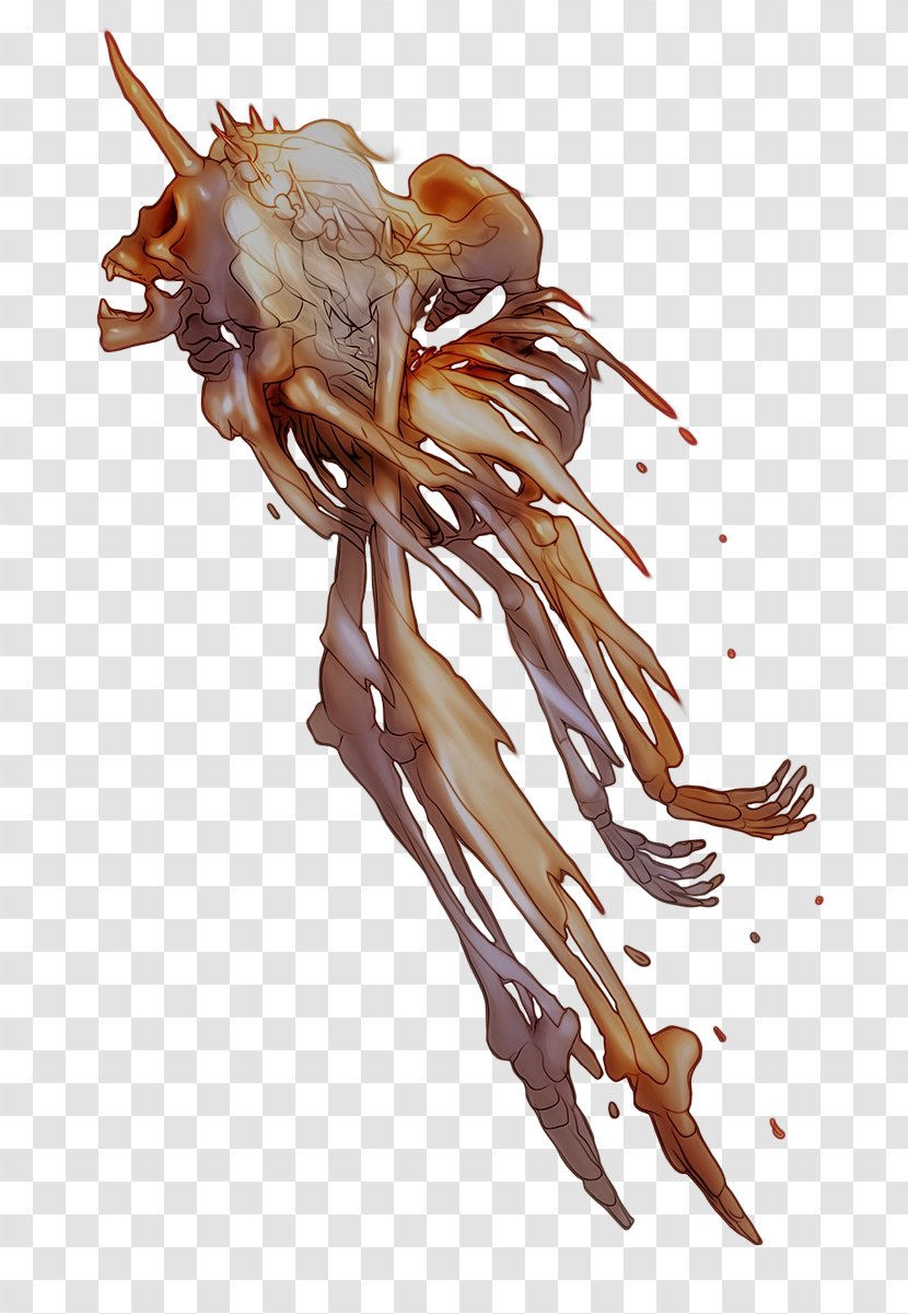 Invertebrate Seafood - Organism - Contortionist Transparent PNG