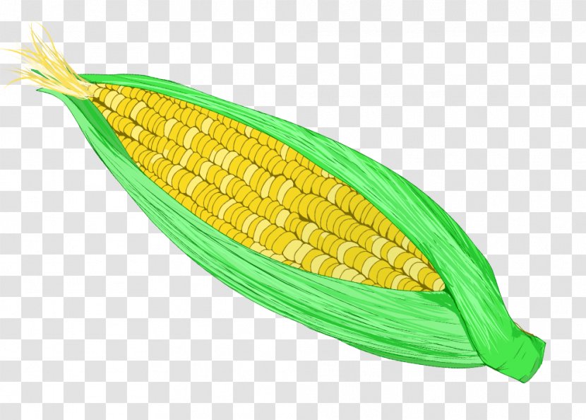 Corn On The Cob Sweet Food Illustration - Book Transparent PNG