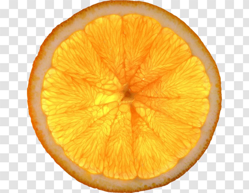 Lemon Mandarin Orange Fruit Slice - Valencia - Fresh Slices Transparent PNG
