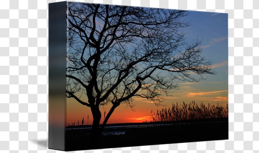 Ocean City Canvas Print Fine Art - Artist - Sea Sunset Transparent PNG