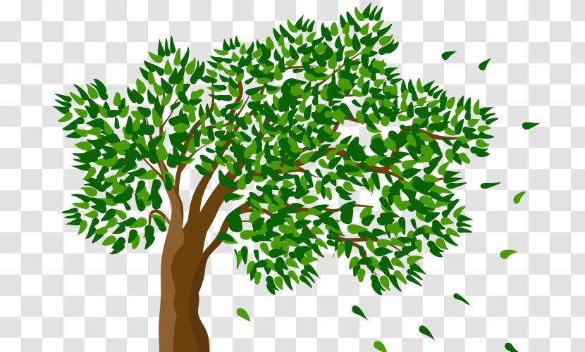 Clip Art Image Transparency - Grass Family - Tree Vector Transparent PNG