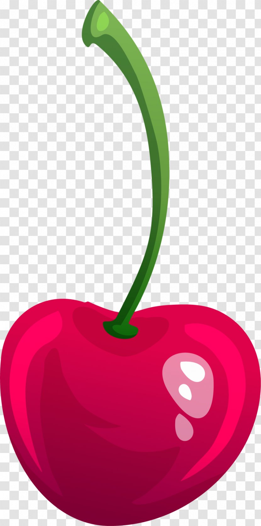 Cherry Red Cerise - Color - Hand Painted Transparent PNG