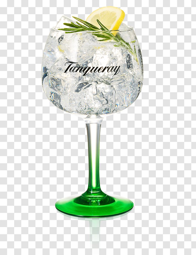 Gin And Tonic Tanqueray Water Cocktail - Grapefruit Transparent PNG