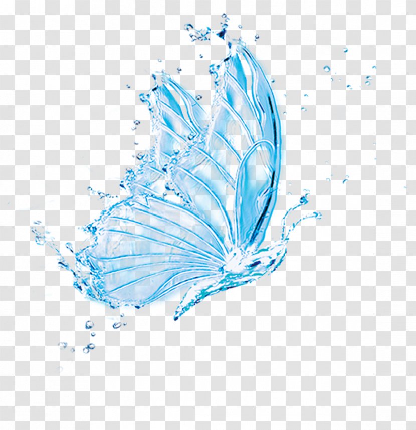 Download Water - Organism - Beautiful Butterfly Dance Singles Transparent PNG