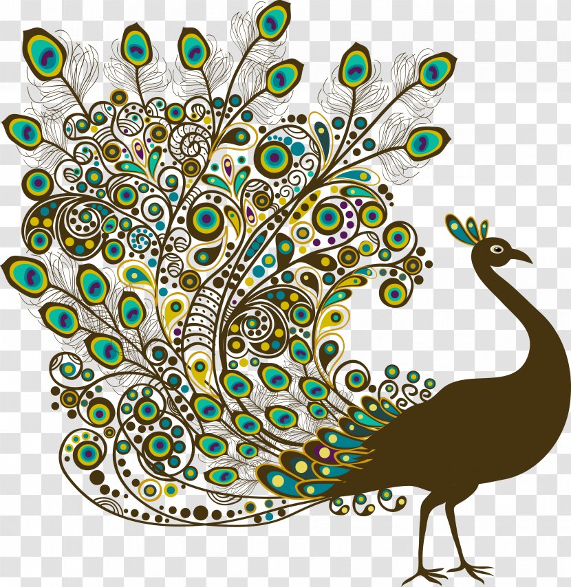 Bird Peafowl Feather - Art - Vector Beautiful Peacock Transparent PNG
