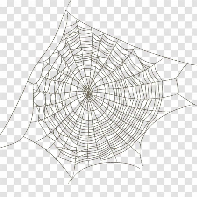 Spider Web Drawing - Shape - Pattern Image Transparent PNG